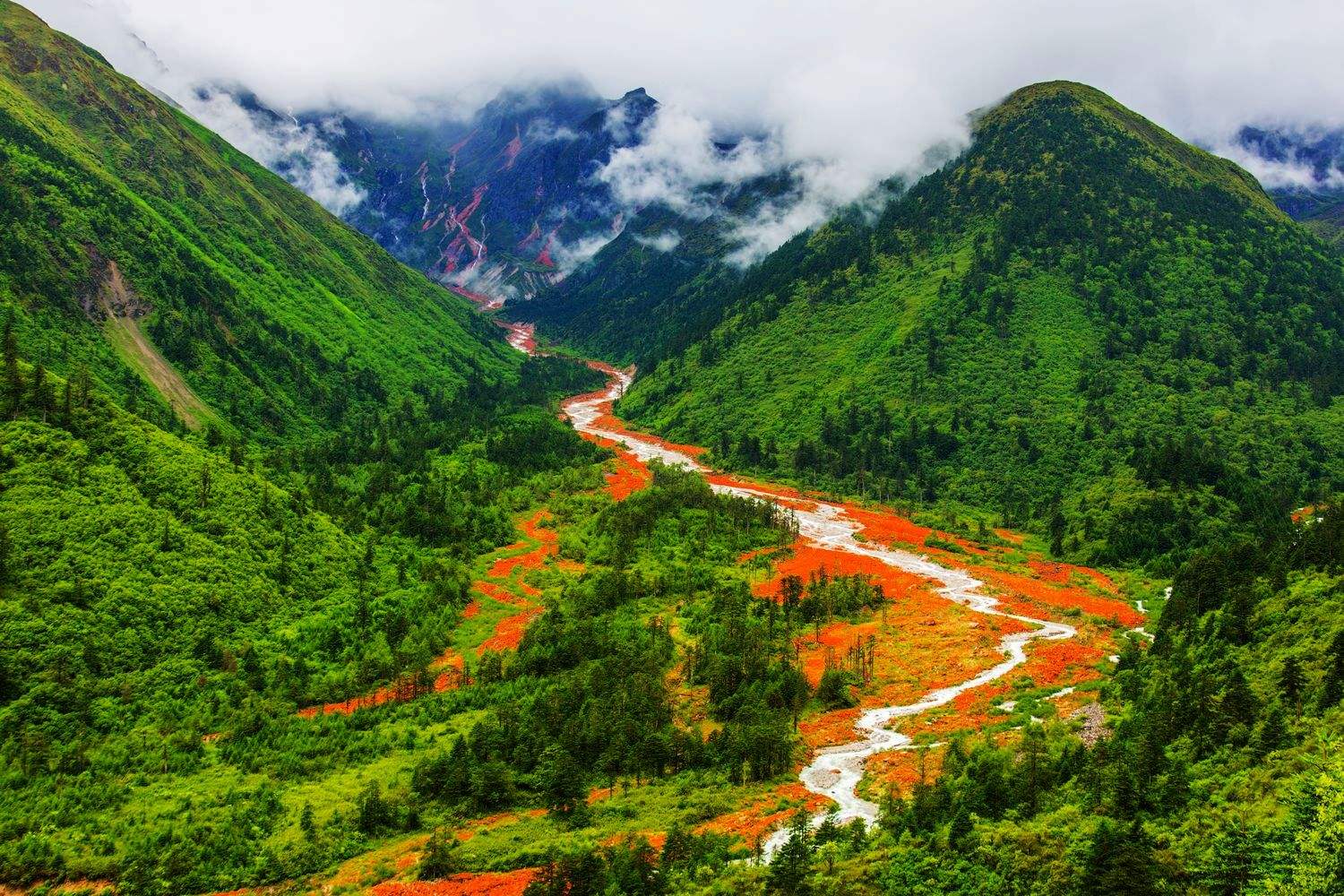 四川小巷探秘，邂逅隐藏的特色小店
