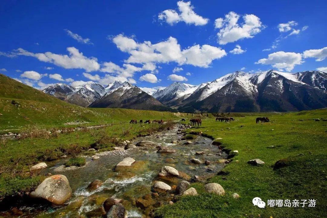 新疆，历史长河中的璀璨明珠