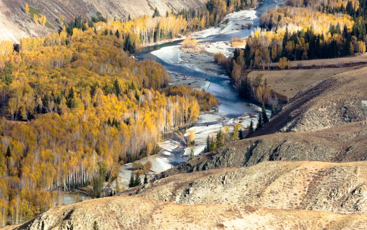 梦想翅膀翱翔之地，新疆印象