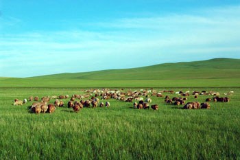 呼伦贝尔，草原励志故事，自信与成就感的起源地