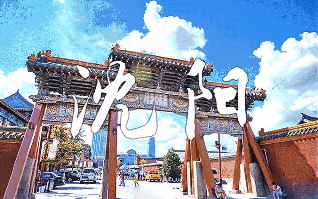 沈阳美食探秘,学习烹饪东北美食的详尽步骤指南