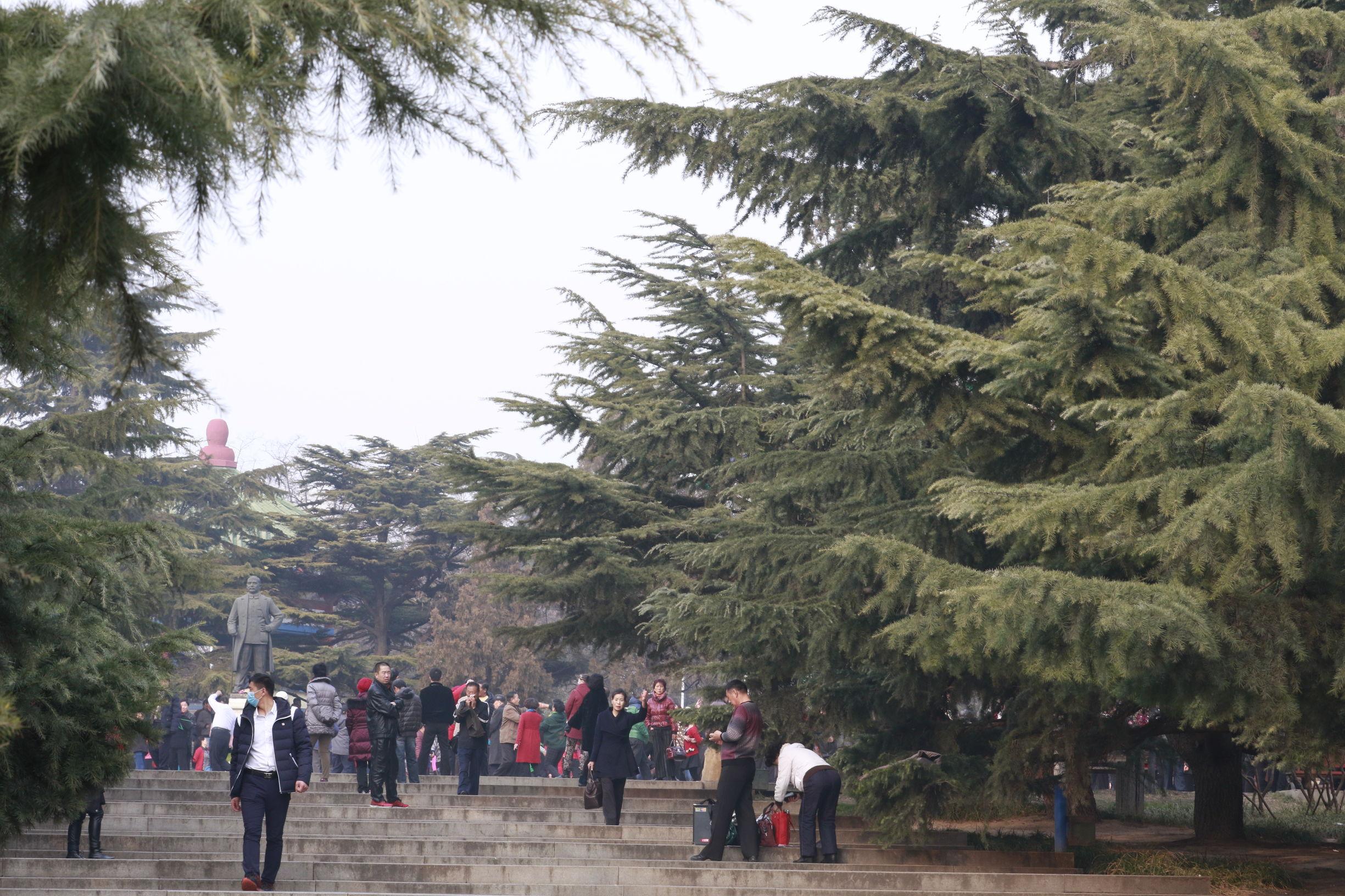 大连之声,亲爱的听众朋友们,大家好!